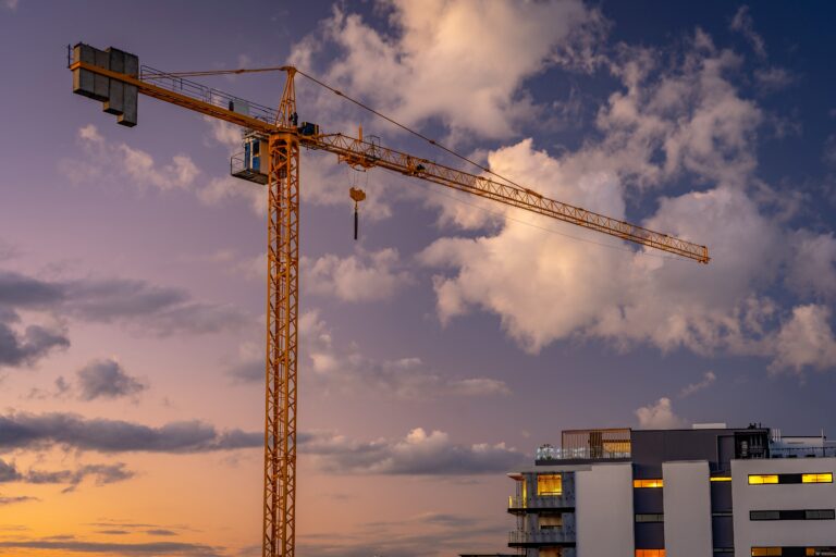 state facilitated development